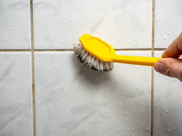 Professional Mold Remediation in Montvale, NJ